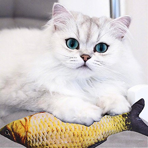MeetUs - Juego de 3 juguetes de hierbas para gato, forma de pez de peluche interactivo, almohada mordida para gatos