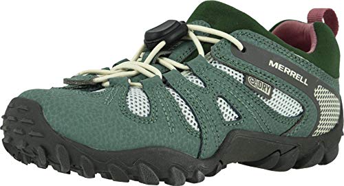 Merrell Chameleon 8 Stretch Waterproof, Zapatillas Deportivas para Interior Unisex Niños, Verde (Laurel), 30 EU