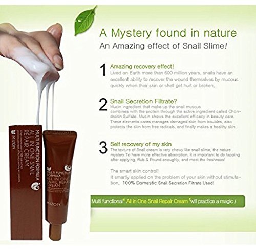 Mizon All in One Snail Repair Cream Tubo 35 ml – Cosméticos, etnia coreana
