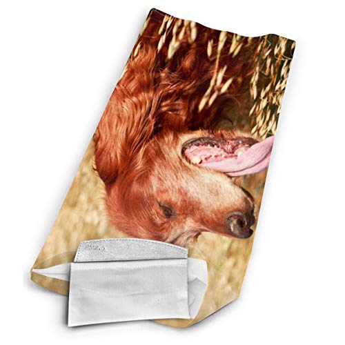 Mkh rojo irlandés Setter adolescente deportes al aire libre transpirable viento seda toalla de cara