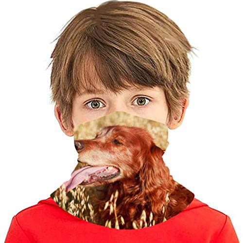 Mkh rojo irlandés Setter adolescente deportes al aire libre transpirable viento seda toalla de cara