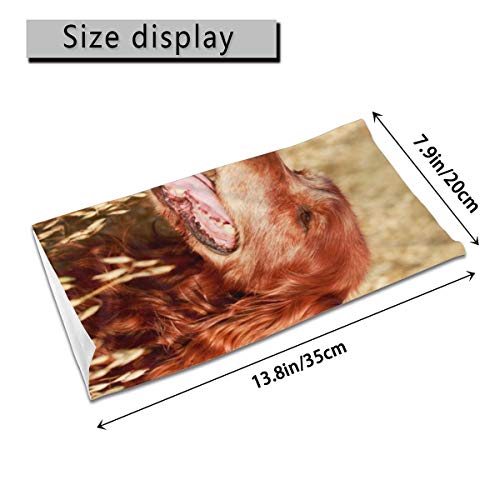 Mkh rojo irlandés Setter adolescente deportes al aire libre transpirable viento seda toalla de cara