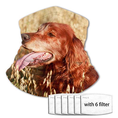 Mkh rojo irlandés Setter adolescente deportes al aire libre transpirable viento seda toalla de cara