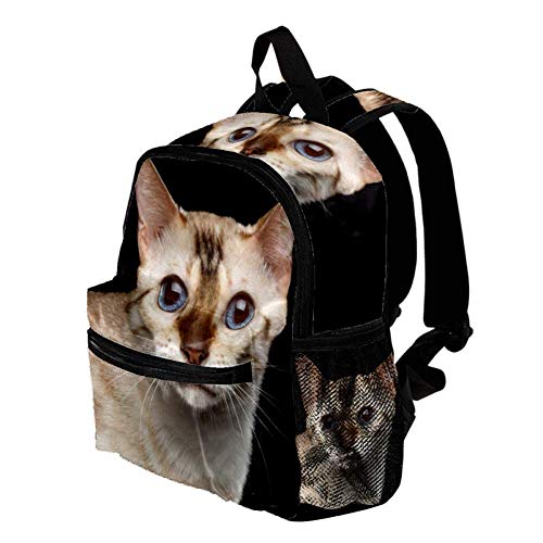 Mochila Impermeable Gato de Ojos Azules Mochila de guardería Mochila para niños Mochila Escolar para niños pequeños 25.4x10x30 CM