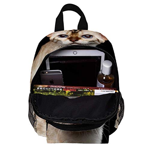 Mochila Impermeable Gato de Ojos Azules Mochila de guardería Mochila para niños Mochila Escolar para niños pequeños 25.4x10x30 CM