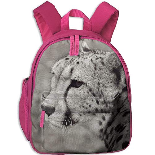 Mochila para niños pequeños, Mochila Escolar, Schoolbag Cheetah Cat Animal Safari Nature Double Zipper Closure Waterproof Children Schoolbag Backpacks with Front Pockets for Boys Girls