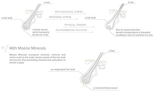 Moerie Ultimate Mineral Hair Growth Spray – For Longer, Thicker, Fuller Hair - with Biotin & Caffeine - Vegan Hair Products – Paraben Free – All Hair Types – Reverse Hair Loss