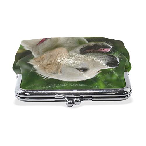 Monedero de piel con cierre de hebilla para mujer, diseño de perro Golden Retriever