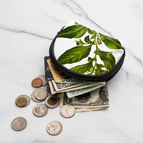 Monedero Monedero Belladonna Deadly Herbal Medicinal Medicine Zip Monedero para niñas Mini Monedero para niñas con Cremallera Mini Bolsas de Maquillaje cosmético para Mujeres Niñas Regalos y decoraci