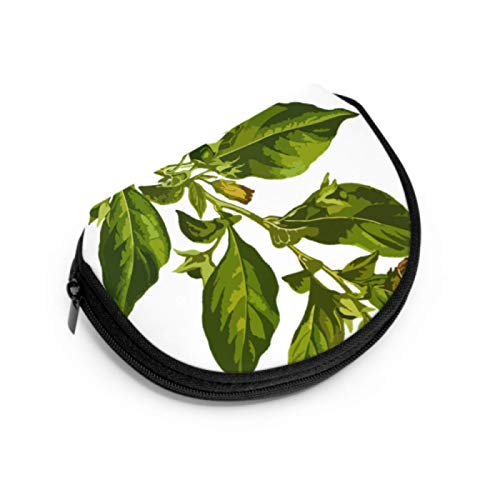 Monedero Monedero Belladonna Deadly Herbal Medicinal Medicine Zip Monedero para niñas Mini Monedero para niñas con Cremallera Mini Bolsas de Maquillaje cosmético para Mujeres Niñas Regalos y decoraci