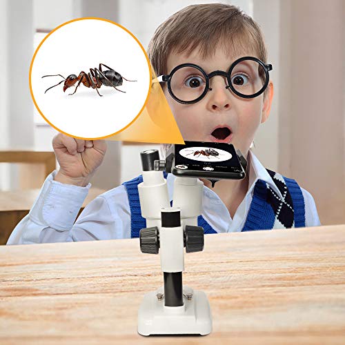 Moutec Kids Microscopio estéreo LED portátil 20X-40X herramienta científica para la educación para magnificar y explorar el micromundo, viene con piedras pequeñas coloridas y adaptador para smartphone