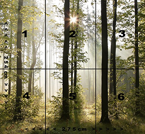 murimage Papel Pintado Bosque 274 x 254 cm Incluyendo Pegamento Fotomurales Vista 3D Madera árboles luz del Sol Living Sala