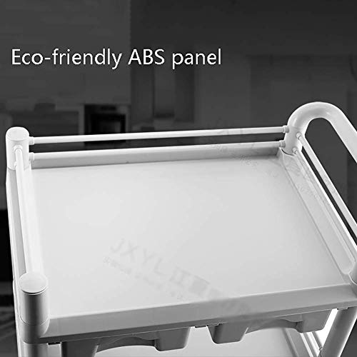 MY1MEY Carros de Servicio Carros médicos portátiles de ABS móvil, carros de Servicios de SPA de Belleza médica de 2 Niveles con Rueda Universal, 64.5 × 44.5 × 90 cm, Blanco grisáceo (Color: sin GAV