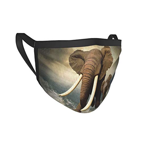 naizi Recubrimiento facial-3 capas-Mascarilla facial de algodón-Tercera capa (media) de interfaz electrostática no tejida-Lavable y reutilizable-Transpirable y cómoda