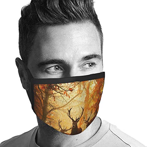 naizi Recubrimiento facial-3 capas-Mascarilla facial de algodón-Tercera capa (media) de interfaz electrostática no tejida-Lavable y reutilizable-Transpirable y cómoda