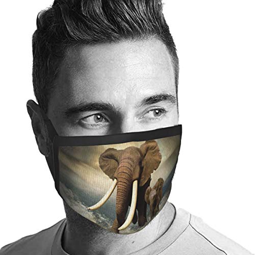 naizi Recubrimiento facial-3 capas-Mascarilla facial de algodón-Tercera capa (media) de interfaz electrostática no tejida-Lavable y reutilizable-Transpirable y cómoda