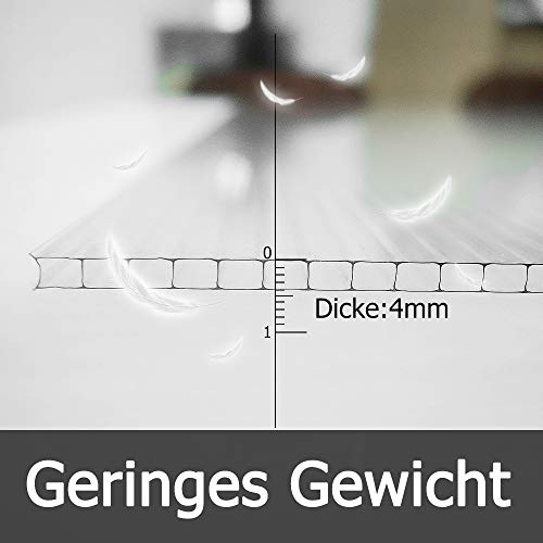 NAIZY - 14 placas alveolares de cámaras huecas de policarbonato, 4 mm de diámetro, 10,25 m2, placa de doble puente para invernadero, placas de repuesto (60,5 x 121 cm), transparente
