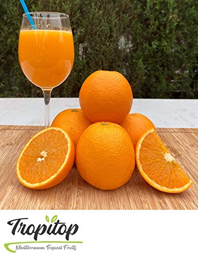 Naranjas para zumo de Valencia | Naturales y frescas- 4 Kg aprox