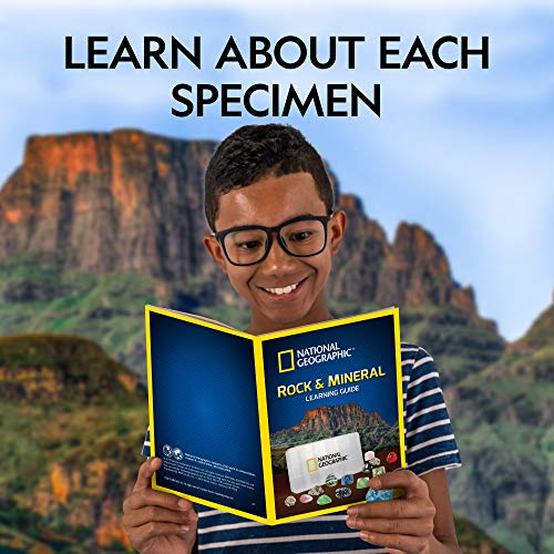 NATIONAL GEOGRAPHIC Rocks and Minerals Education Set - Kit de iniciación de 15 piezas con ojo de tigre, cuarzo rosa, jaspe rojo y más, vitrina y guía de identificación