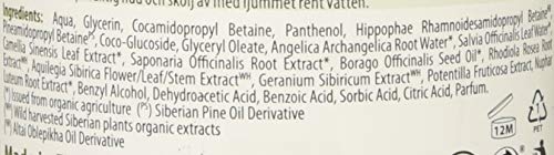 Natura Siberica Espuma Hidratante Natural y Organica para el Desmaquillante de Ojos para pieles sensibles con Rhodiola Rosea, Lily, Potentilla Supina, Active Organics Herbs 170 Ml (Natura Siberica)