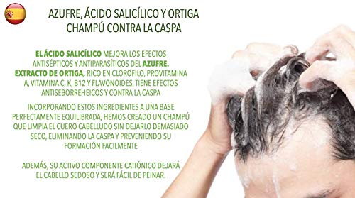 Natural anti-Dandruff Champú con azufre & Nettle – 0% parabenos, parafinas, tintes – Ayuda a tratar y claro Caspa itchy-scalp (250ml)