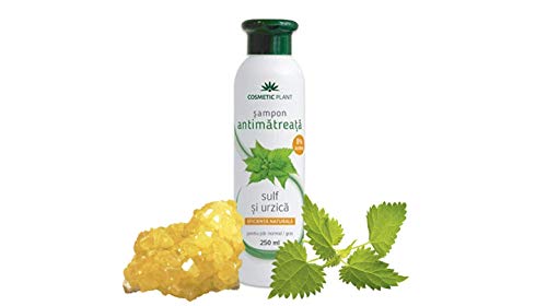 Natural anti-Dandruff Champú con azufre & Nettle – 0% parabenos, parafinas, tintes – Ayuda a tratar y claro Caspa itchy-scalp (250ml)