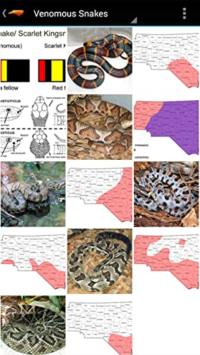 NC Reptile Guide (AD-FREE)
