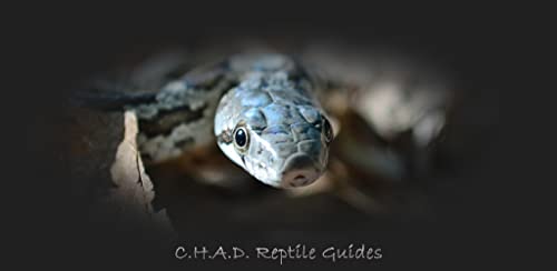 NC Reptile Guide (AD-FREE)