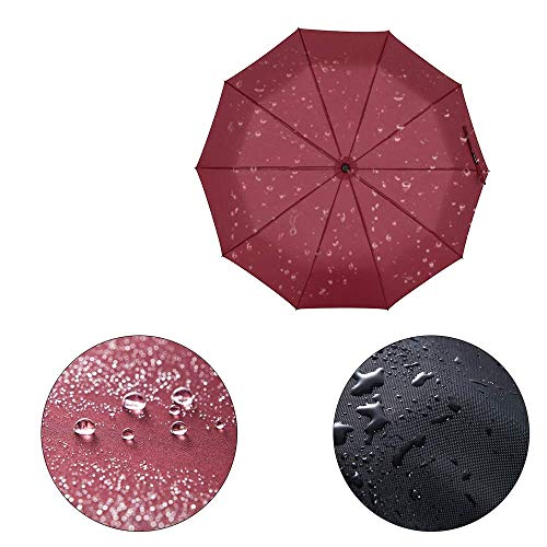 Newdora Paraguas Plegable Automático Impermeable 10 Armazones de Metal Compacto Resistencia contra Viento para Viaje para Hombres y Mujeres