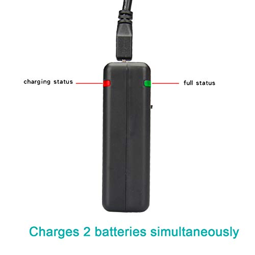 Newmowa NP-BX1 Batería de repuesto (2-Pack) y Kit de Cargador Doble para Micro USB portátil para Sony NP-BX1 / M8 y Sony Cyber-Shot DSC-RX100, DSC-RX100 II, DSC-RX100M II, DSC-RX100 III, DSC-RX100 IV, DSC-RX100 V, DSC-RX100 VII/M8,Sony Cyber-shot DSC-HX50