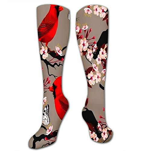 NGMADOIAN Calcetines hasta la rodilla para mujeres Hombres River Cuts Through The Rock No por su culpa Powe