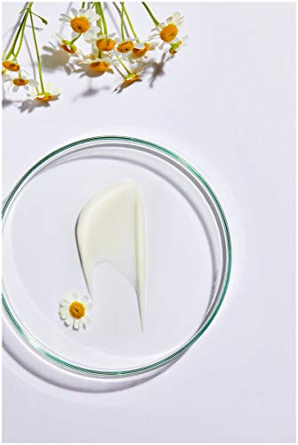 Nivea - Crema hidratante de día Nivea Natural Balance (50 ml), con aloe vera orgánico, aceite de jojoba y almendra, crema de día para piel normal y mixta