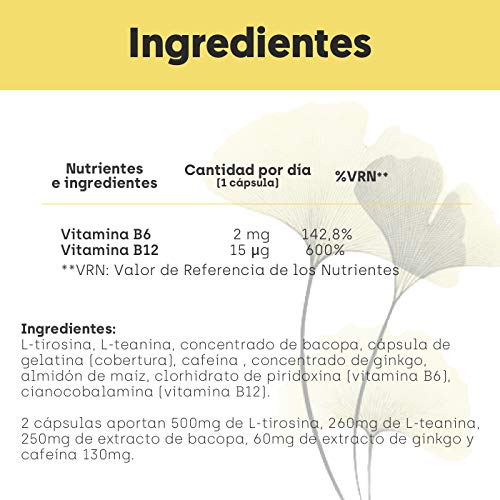 Nootrópico Natural Envase XL 60 Cápsulas | Fórmula para incrementar la energía, concentración y agilidad mental | Cafeína, Ginko Biloba, Tirosina, Teanina, Bacopa Monnieri y Vitaminas