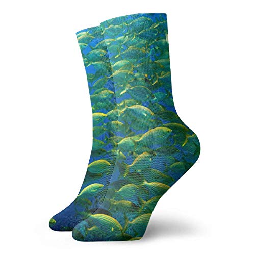 Not Applicable Calcetines Deportivos Blog Archivi Travel Cute Calcetines De Tubo Cómodos Novedad Suave 30Cm Calcetines Deportivos Unisex Coloridos Calcetines De Compresión Deporte Impreso Fiesta