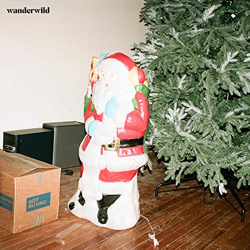 Not Buying (feat. Rose Hotel)