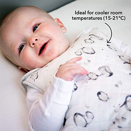 Nuby Saco de dormir para bebés de 0 a 6 meses, diseño de pingüino