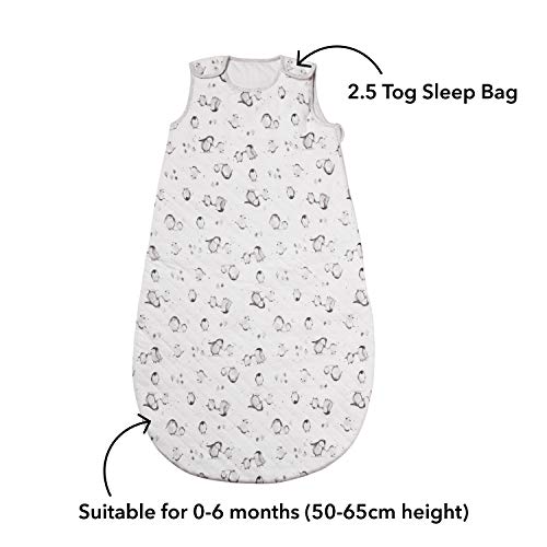Nuby Saco de dormir para bebés de 0 a 6 meses, diseño de pingüino