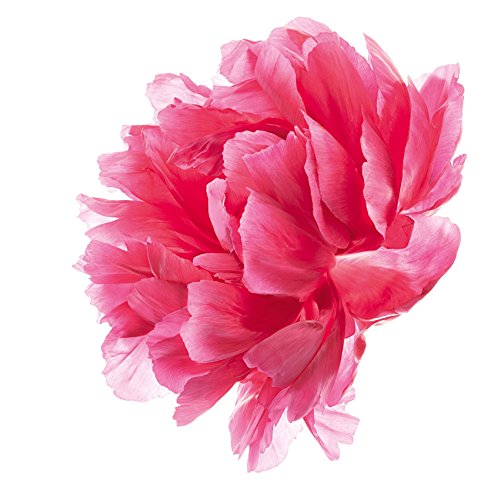 Nuxe Nirvanesque Crema 50 ml