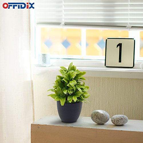 OFFIDIX Planta Artificial de eucalipto de plástico con Maceta, Escritorio de Oficina, hogar y Regalo para Amigos, Planta Falsa con macetas de plástico para decoración del hogar