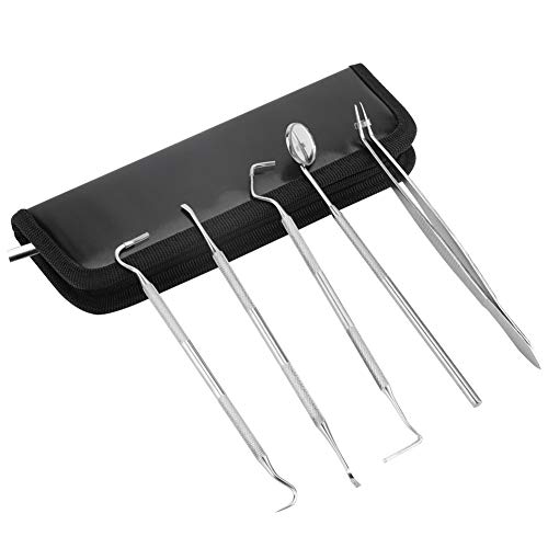 OKBY Kit de Dentista - Juego de Herramientas de Dentista de Acero Inoxidable Profesional de 5 Piezas, Kit de Limpieza de higiene Dental