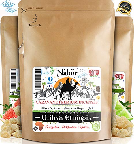 Oliban Incienso de Etiopía 200 GR ⭐ Granos Premio Grado A 2019⭐ NABÜR ⭐ Escogido a mano ⭐ Alto contenido de A.Esencial ❤️ Bienestar, salud del hierro, serenidad ❤️ Economico