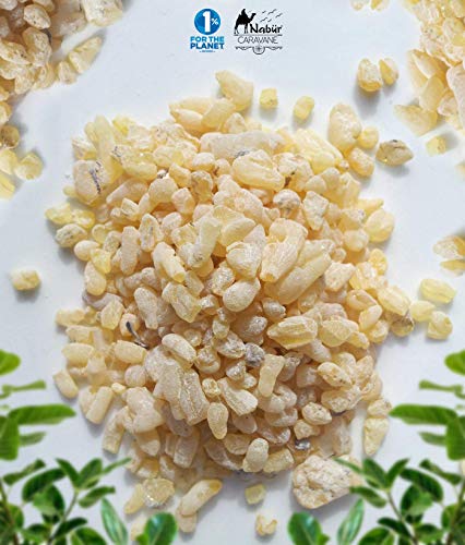 Oliban Incienso de Etiopía 200 GR ⭐ Granos Premio Grado A 2019⭐ NABÜR ⭐ Escogido a mano ⭐ Alto contenido de A.Esencial ❤️ Bienestar, salud del hierro, serenidad ❤️ Economico