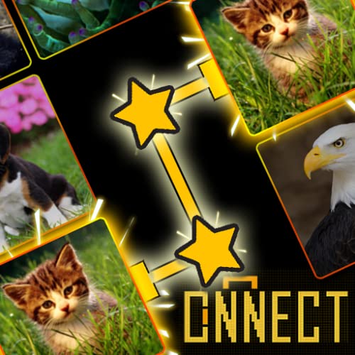 Onnect - Juego de Emparejamiento