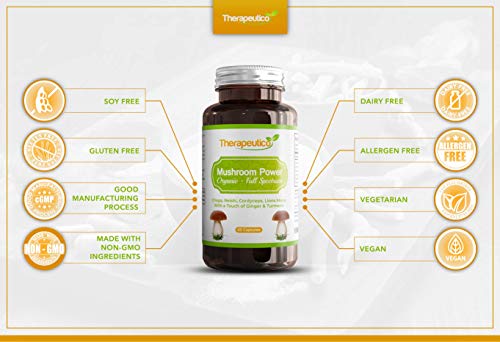 Organic Mushroom Blend | Chaga, Lions Mane, Cordyceps, Reishi, Ginger & Turmeric | 60 Veg Caps | Made in UK | Mushroom Complex | No Fillers, Additives | Vegan | NEW IMPROVED FORMULA