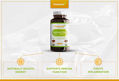 Organic Mushroom Blend | Chaga, Lions Mane, Cordyceps, Reishi, Ginger & Turmeric | 60 Veg Caps | Made in UK | Mushroom Complex | No Fillers, Additives | Vegan | NEW IMPROVED FORMULA