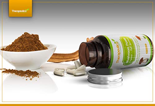 Organic Mushroom Blend | Chaga, Lions Mane, Cordyceps, Reishi, Ginger & Turmeric | 60 Veg Caps | Made in UK | Mushroom Complex | No Fillers, Additives | Vegan | NEW IMPROVED FORMULA