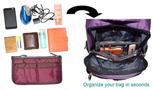 Organizador De Bolso De Mano, Forro, Inserto, 12 Bolsillos Bolsos Divisiones (Café)