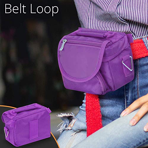 Orzly Travel Bag for Nintendo DS Consoles (Bolsa de Viaje para Consola Juegos y Accessarios) - Adapta TODOS Los Versiones de DS con Pantalla Plegable (Por ejemplo: DS / 3DS / 3DS XL / DS Lite / DSi / New 3DS / New 3DS XL / 2DS XL / etc pero no 2DS Modelo 