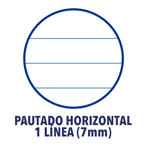 Oxford 100430210 - Recambio de rayas para carpeta A4, 100 hojas, 90 g, con margen