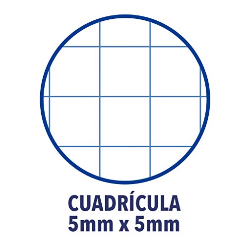 Oxford 400053289 Classic - Cuadernos Espiral, spiral microperforado de tapa extradura, 80 hojas, colores surtidos, tamaño A5 - paquete de 5